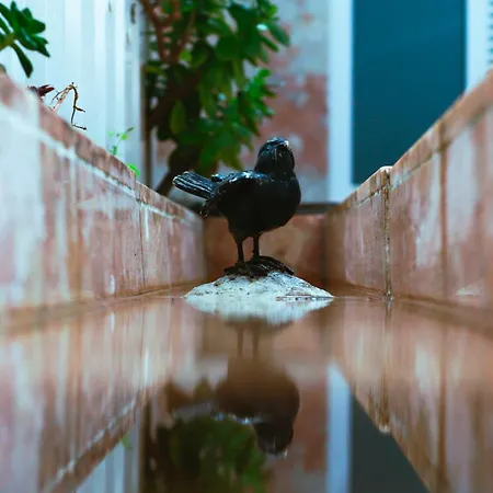 Flh Alcantara Stylish Duplex With Terrace Apartment