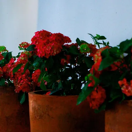 Flh Alcantara Stylish Duplex With Terrace Lisboa